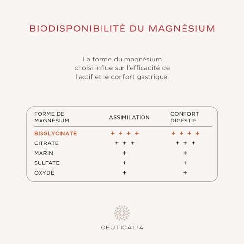 Complément alimentaire énergie et vitalité adultes - Boost d'énergie anti-fatigue - Contient ginseng, guarana, maté, acé