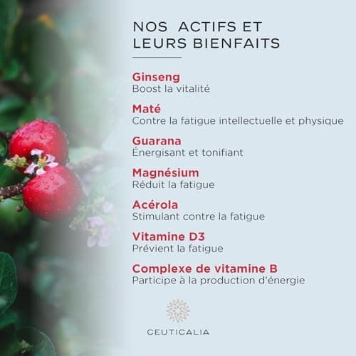 Complément alimentaire énergie et vitalité adultes - Boost d'énergie anti-fatigue - Contient ginseng, guarana, maté, acé