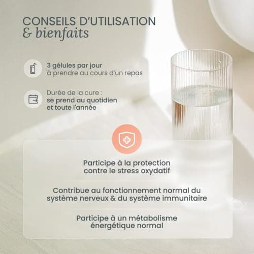NUTRI & CO Multivitamines Haute Absorption - Multinutriments Vegan Friendly - Pour une Santé Optimale - 90 Gélules Condi
