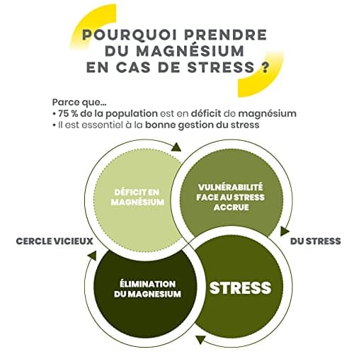D-STRESS COMPRIMÉS 80 COMPRIMÉS | Magnésium de 3ème Génération + Taurine + Arginine + Vitamines B |Réduit le Stress et F