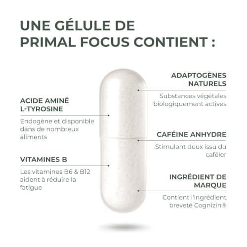 Kogni Boost Primal Harvest - Nootropiques 30 gélules - Stimule la concentration et le cerveau - Sou vervrier naturel des