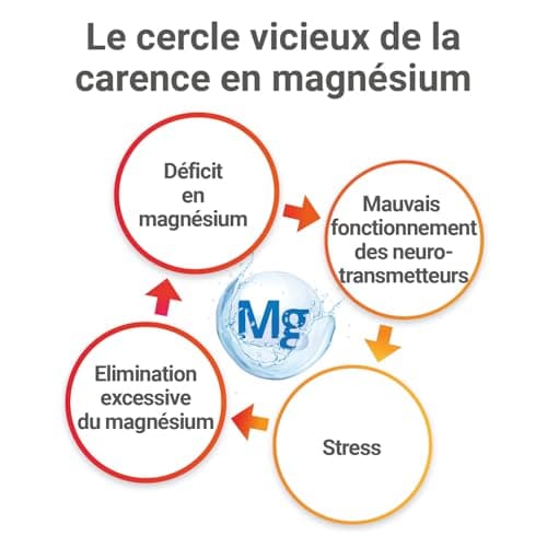Magnésium MAG 2 24H Extra Fort Complément Alimentaire Anti-Névrose et Anti-Fatigue Program 45 Jours 45 Comprimés