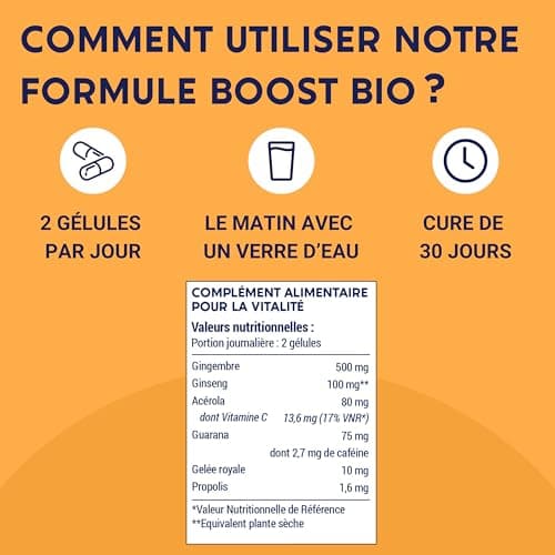 FORMULE BOOST BIO 4G Ginseng Gelée Royale Guarana Gingembre Acérola Complément Alimentaire Anti-Fatigue Immunité Énergie