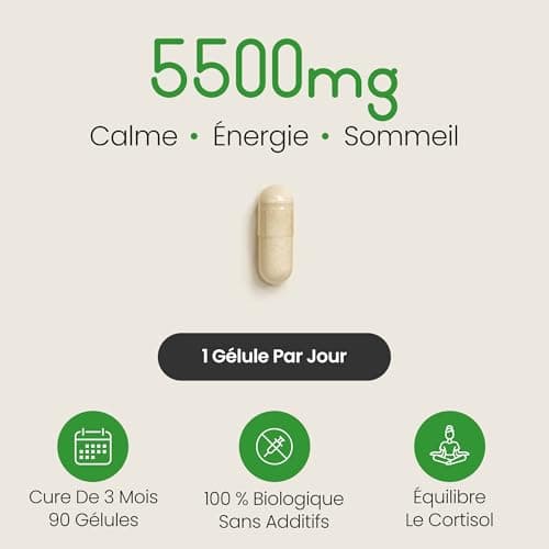 VitaBright Ashwagandha KSM-66 5% Withanolides 5500mg - 90 Jours Bio Vegan Anti-Stress pour Adultes, Conseils Antibes  
A