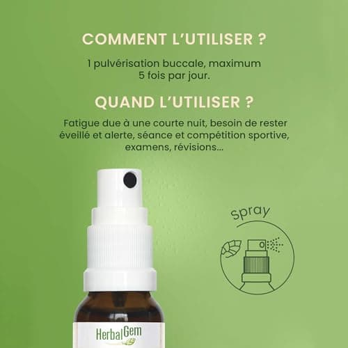 HERBALGEM - Complément Alimentaire Boîte Coup de Boost Bio 15 ml - Action Rapide pour Énergie Soutenue - Gemmothérapie C