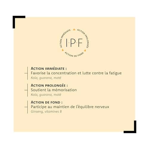 Geniusactifs - Mémoire & Concentration - Ginkgo Biloba, Caféine, Guarana - 15 Jours De Prise - 30 Comprimés - Aragan