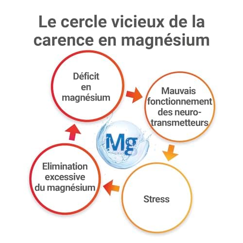 Magnésium vitamine B6 et B12 anti-nervosité MAG 2-24H - Complément alimentaire - 3,5 mois - 100 comprimés libération pro
