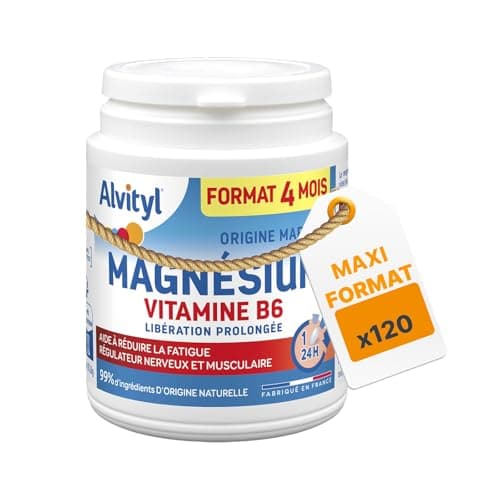 Magnésium et Vitamine B6 Alvityl - Libération Prolongée - Stress et Fatigue - Comprimés Marine 120 Jours