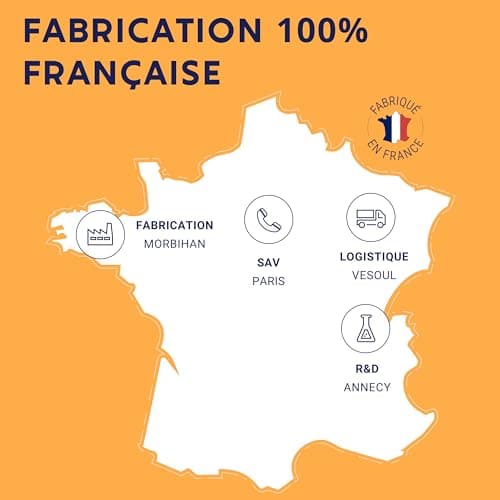 FORMULE BOOST BIO 4G Ginseng Gelée Royale Guarana Gingembre Acérola Complément Alimentaire Anti-Fatigue Immunité Énergie