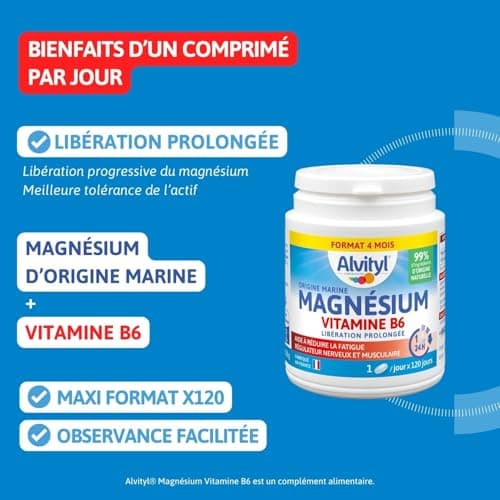 Magnésium et Vitamine B6 Alvityl - Libération Prolongée - Stress et Fatigue - Comprimés Marine 120 Jours