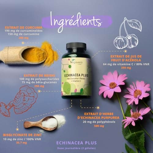 Vegavero® Complexe Échinacée Immunité | Vitamine C, Reishi, Curcuma & Zinc | Supplément Vegan Sans Additifs | 120 Gélule
