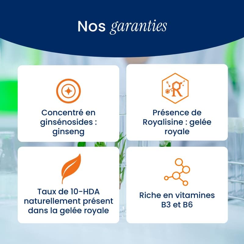 Gelée Royale Ginseng NaturAvignon 1000mg Gélules Adulte Vitalité Immunité 1800mg Ginseng Rouge Vitamines B3+6 20 Gélules
