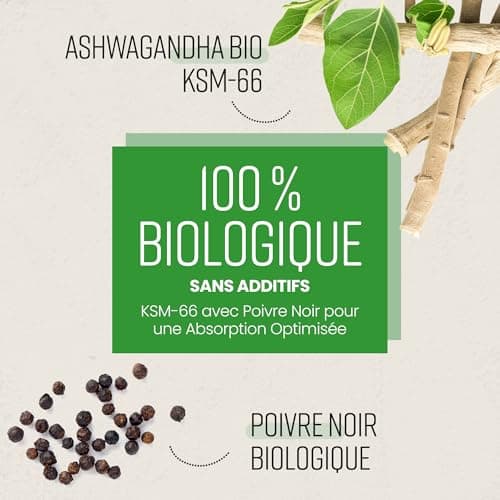 VitaBright Ashwagandha KSM-66 5% Withanolides 5500mg - 90 Jours Bio Vegan Anti-Stress pour Adultes, Conseils Antibes  
A