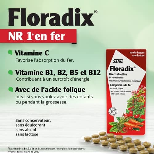 Salus Floradix Fer + Plantes - Formule Capsule Anti-Fatigue Riche en Fer - Enrichi en Vitamine C pour une Bonne Absorpti
