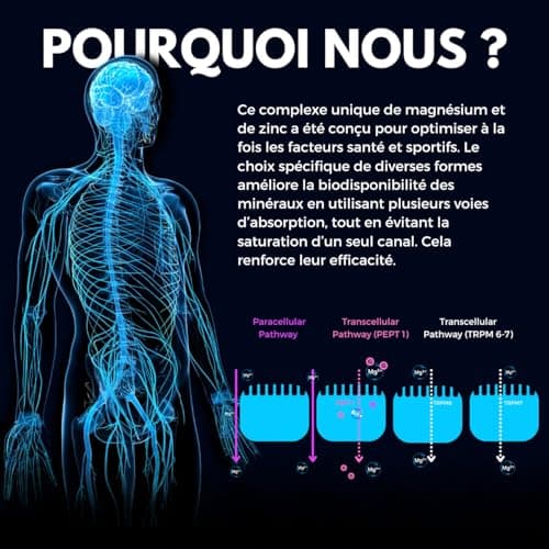Magnésium Bisglycinate Malate Citrate + Vitamine B6 Bioactive + Zinc + Aléatoire pour les sportsifs + Fabriqué en France