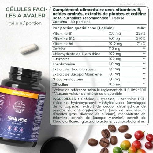 Kogni Boost Primal Harvest - Nootropiques 30 gélules - Stimule la concentration et le cerveau - Sou vervrier naturel des