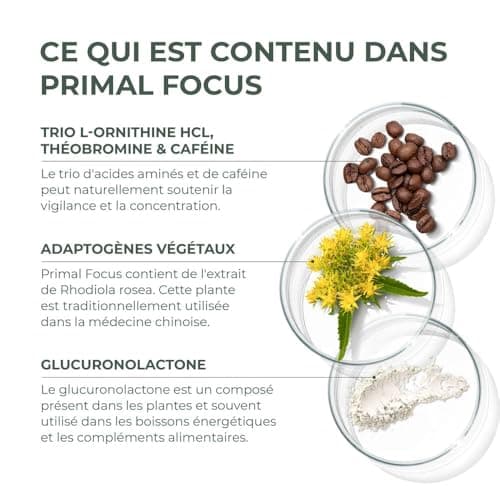 Kogni Boost Primal Harvest - Nootropiques 30 gélules - Stimule la concentration et le cerveau - Sou vervrier naturel des