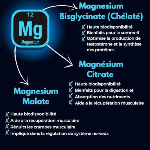 Magnésium Bisglycinate Malate Citrate + Vitamine B6 Bioactive + Zinc + Aléatoire pour les sportsifs + Fabriqué en France