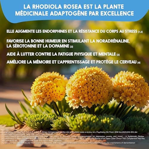 N2 Natural Nutrition Ashwagandha + Magnésium + L-Tryptophane - Formulecontre le Cortisol, le Stress et l'Anxiété - Favor