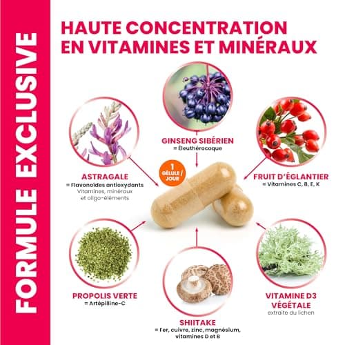 IMMUNITE Défenses Immunitaires & Anti-Fatigue Vitamine C + D3 100% AR | 5 plantes Naturelles Shiitake, Astragale 100 mg,