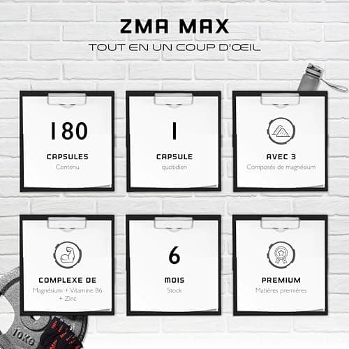 ZMA MAX - Dose extra haute - Zinc + Magnésium + Vitamine B6 - Vegan - 180 capsules