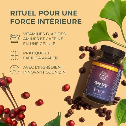 Kogni Boost Primal Harvest - Nootropiques 30 gélules - Stimule la concentration et le cerveau - Sou vervrier naturel des