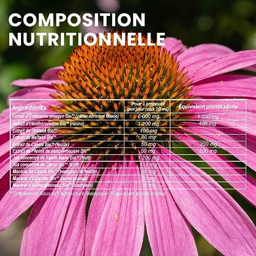 Santarome Bio - Immunité Bio | Complément Alimentaire Immunité | Booste les Défenses Immunitaires - Plantes Bio - Echina