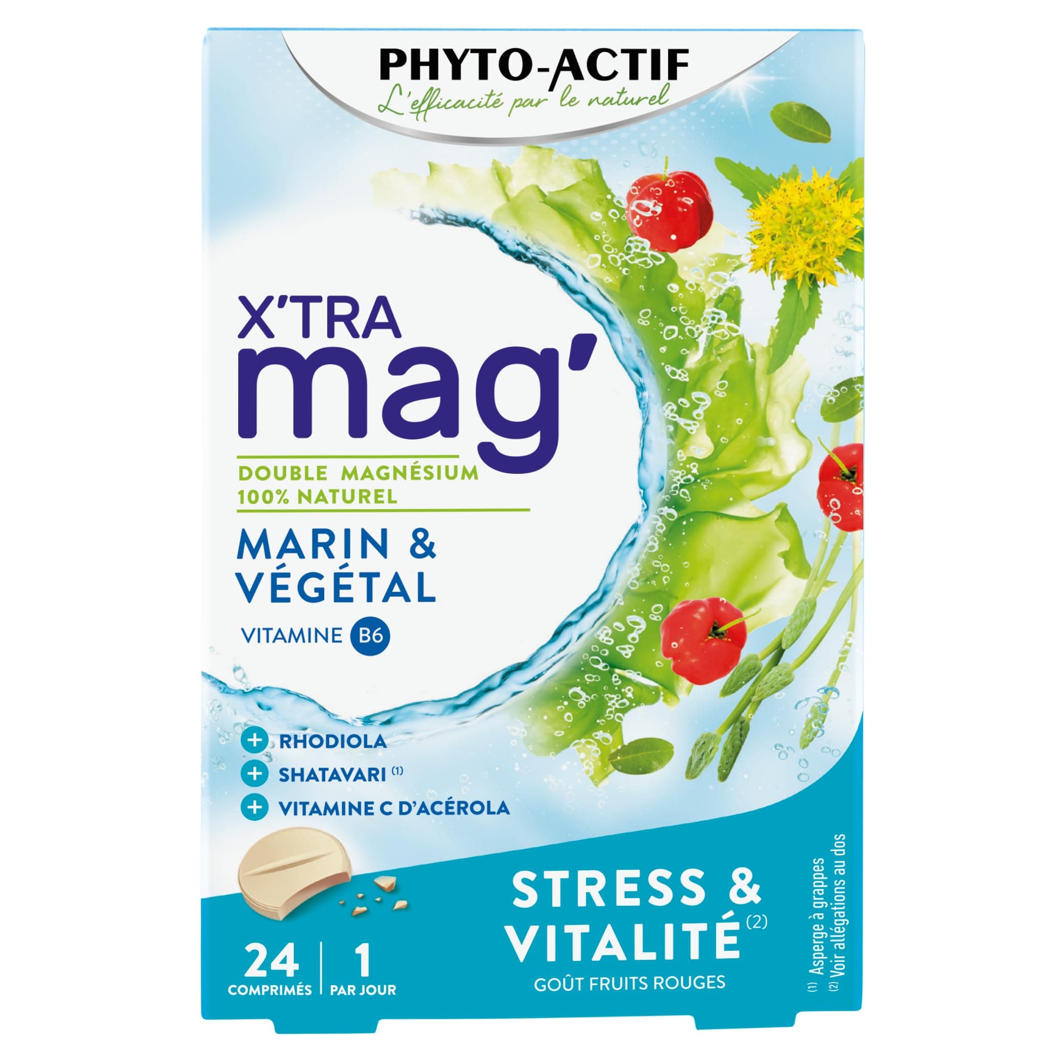 PHYTO-ACTIF | Magnésium & Vitamine B6 | Naturel Marin & Végétal | Complément Alimentaire Contre le Stress et la Fatigue
